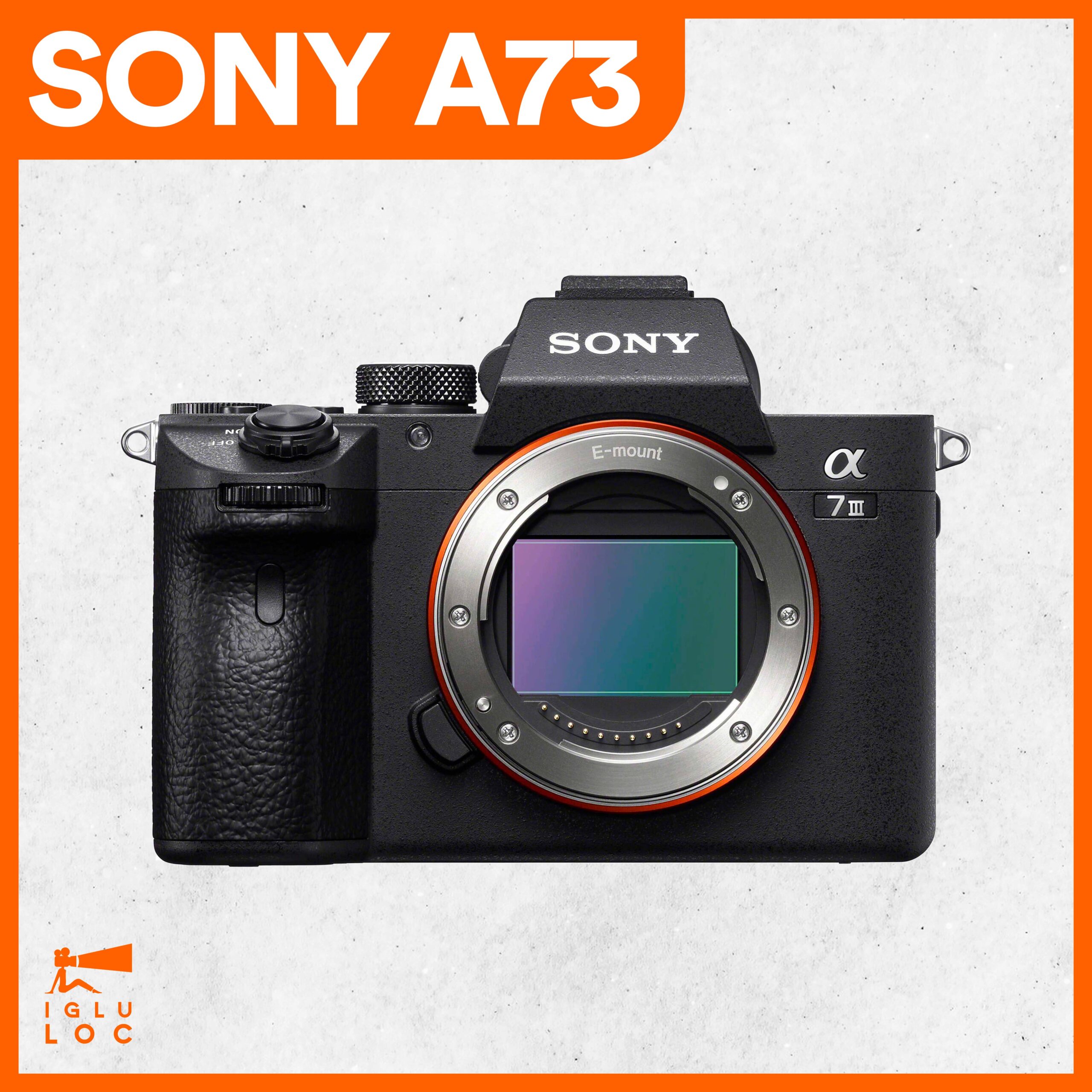 SONY-ALPHA-A73-scaled